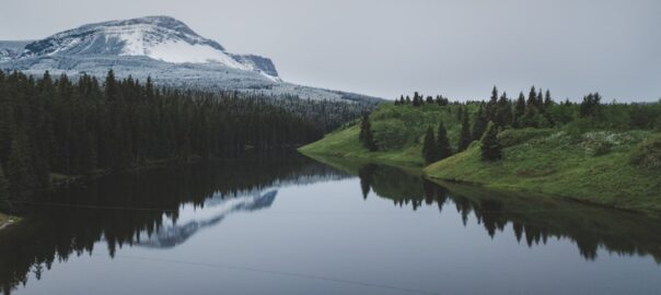 Photo Rainy forest